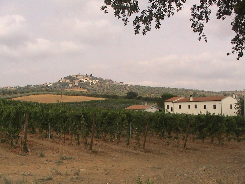 Agriturismo Vigna Mai Magliano in Toscana Ngoại thất bức ảnh