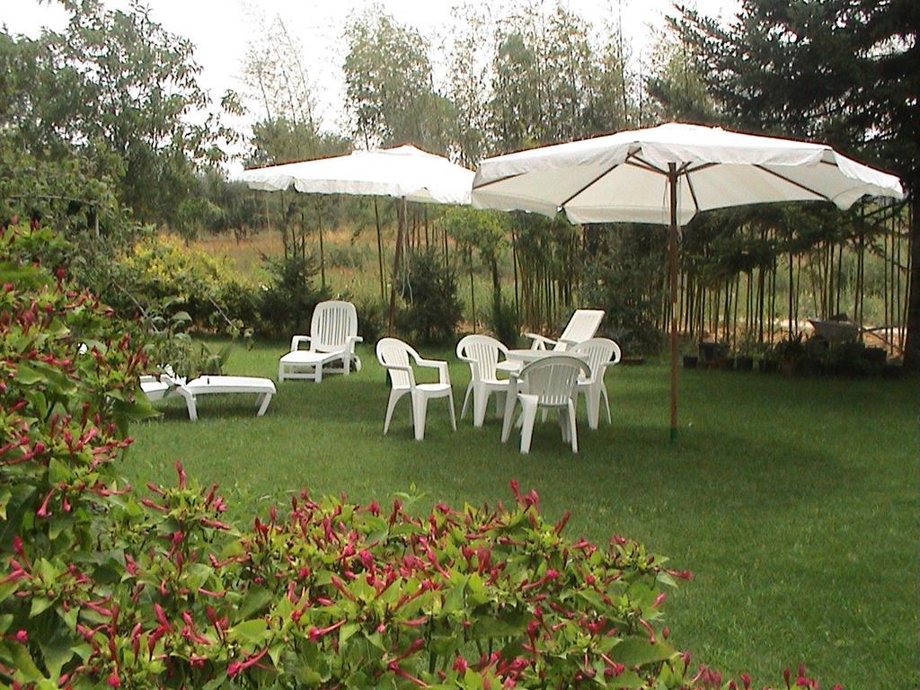 Agriturismo Vigna Mai Magliano in Toscana Ngoại thất bức ảnh